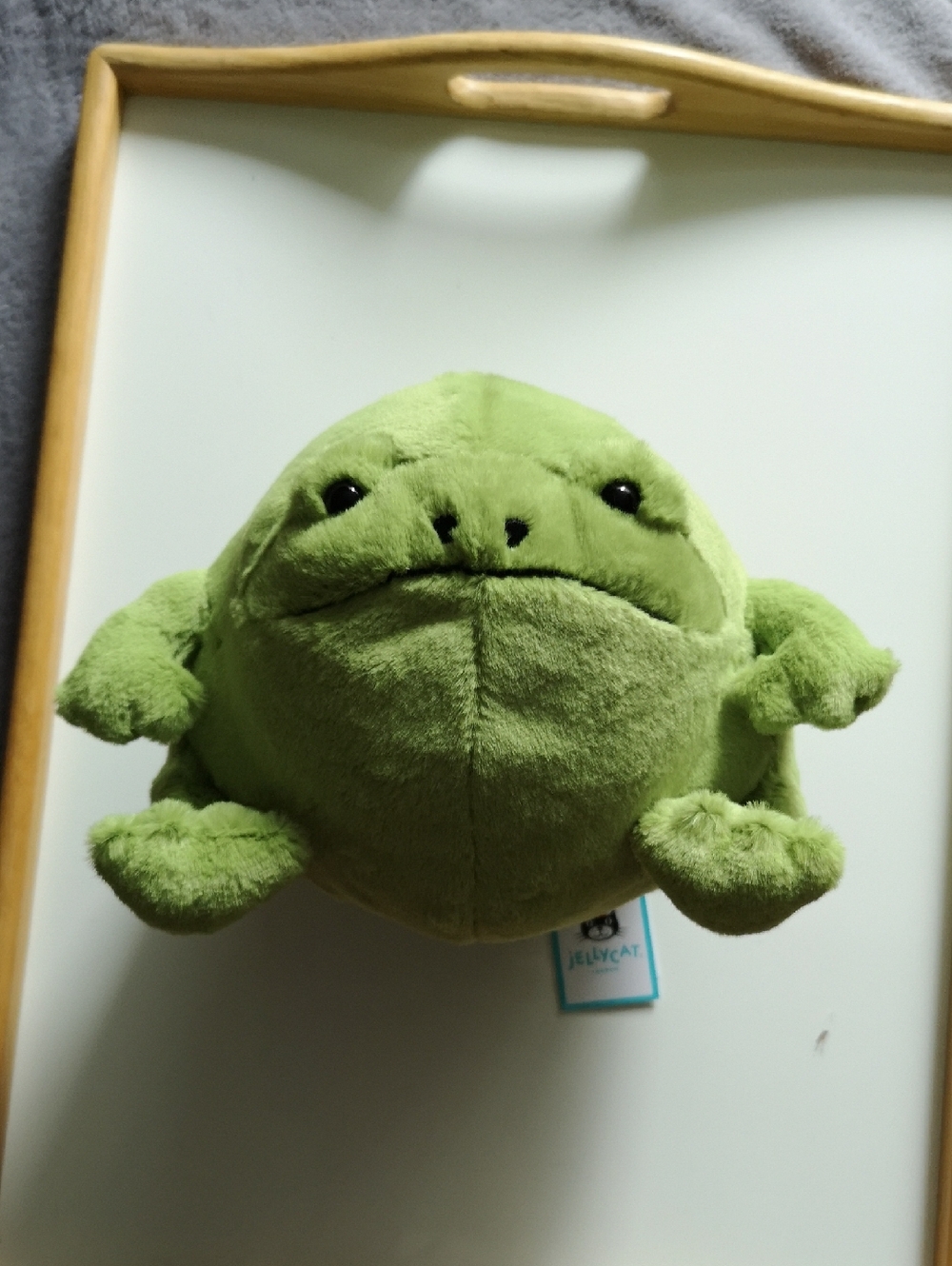 New with Tags Collectible Jellycat Ricky Rain Frog Full Size 8" Stuffed Animal